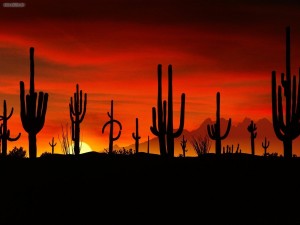Mexico (11)